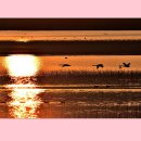 호수의오후 이미지