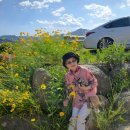 나드리까페 이미지