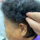 성남독일보청기 이미지