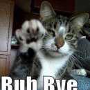 인도로가는길 이미지