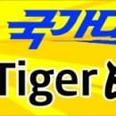 국가대표 타이거 태권스쿨 | 강릉태권도학원- 국가대표 타이거 태권스쿨