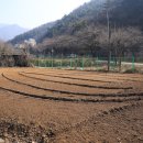 아지네농장 이미지