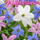 통산2목장 이미지