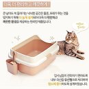 탐나는 고양이 이미지