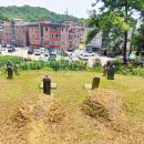 안산김씨 사재감정공파묘역 이미지