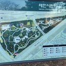 강아지놀이터 | [무료 애견동반 놀이터 추천] 강남 매헌시민의숲 강아지놀이터 솔직후기