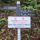 제901회차 10/29 오대산 노인봉(1,338 m) 및 소금강계곡산행예약 신청 이미지
