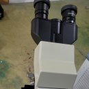 BS메디칼 이미지