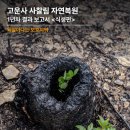 HK산림