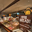 타코몰리(부천점) | 돼지런하다면 예습은 필수 | 현대백화점 중동점 신상맛집 7곳 먹기도 전에 미리 털어봄