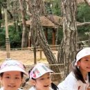 나래영재어린이집 이미지