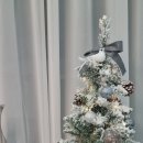 중앙동327 이미지