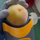 월광농원 이미지