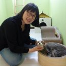 묘연고양이병원 이미지