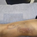 제이즈의원 이미지