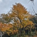 허문공원 이미지