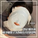 순필인테리어 | [강남역 피부과] 피지 쏙쏙 아쿠아필, 크라이오, 모델링팩 후기