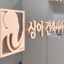 상아 건축사사무소 이미지