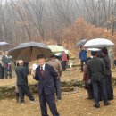 이종무장군대마도정벌 이미지