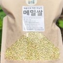 메밀꽃 유채향 네이버블로그