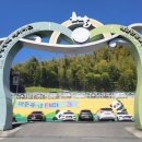 맹종죽테마파크1 이미지