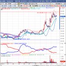 뉴코리아고속관광㈜ | DART 지분공시 25.12.01 중요 사항