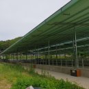 급매물공인중개사사무소 이미지