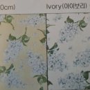 루디아세탁 이미지