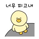 예우가운