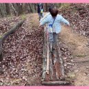 금오산 유아숲체험원 이미지