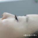 여시눈썹 이미지