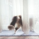 마마운동화 이불빨래방 의정부민락점 이미지