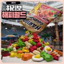 앱미디어 온라인 합기도 | 제주도 하리보 해피월드 할인정보 및 아이와 방문한 실내 전시 체험 후기