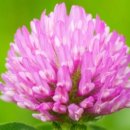 메디칼허브헬스케어 이미지