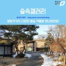 숲속갤러리 이미지
