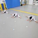 강담태권도 이미지