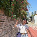 (주)헬스인풋 | 2026.05 월간회고(야무지게 즐긴 초여름🌹, 프리다이빙 체험, 클라이밍 입문)