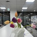 왕언니밥상 | 3월 일상1 ㅣ 도파민 중독자의 삶