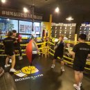 Bee 복싱짐 이미지