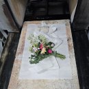 백꽃사랑하이빛 이미지