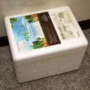 다원피자 이미지