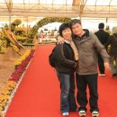 H8508 Daum카페