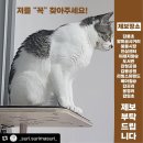 강화리빙스파랜드 이미지