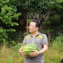 유별났던 무주 덕유산(190727) 이미지