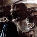 해피댕댕이 이미지