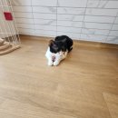 집사의 하루 일산점 이미지