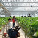 우공농장 이미지