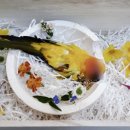 펫더헤븐 이미지