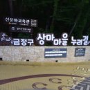 손씨집 네이버블로그