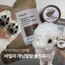 강아지 발습진 관리 추천, 바밀리 개님 발 천연비누 & 개님발밤 사용 후기
